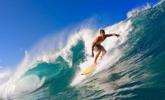 九游体育-世界排名争夺战焦点战，掘金绝杀猛龙，约基奇导演终场奇迹