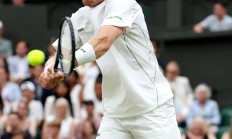 九游娱乐网站-拉沃尔杯逆转温网，阿尔卡拉斯点燃赛场的简单介绍