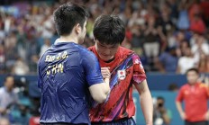 九游娱乐网页-法国队险胜日本队，张本智和扛起全队的简单介绍