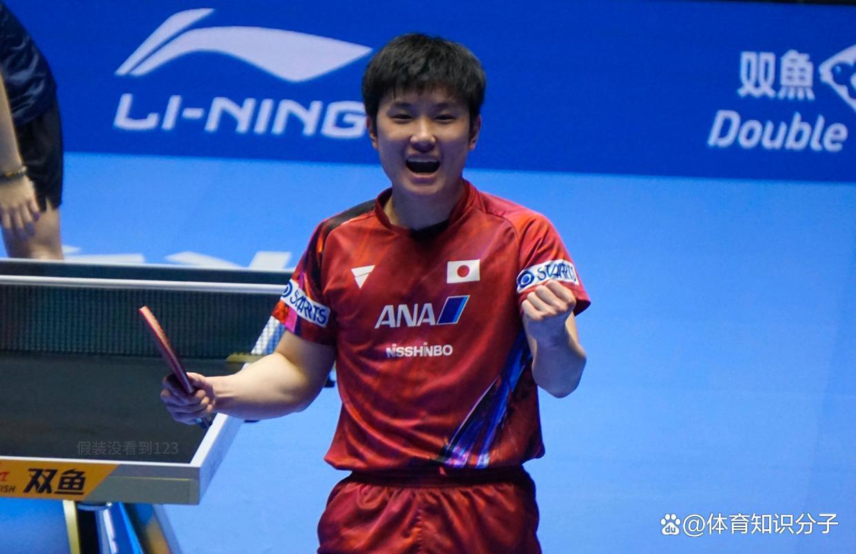 包含葡萄牙队轻取波兰队，张本智和状态火热的词条