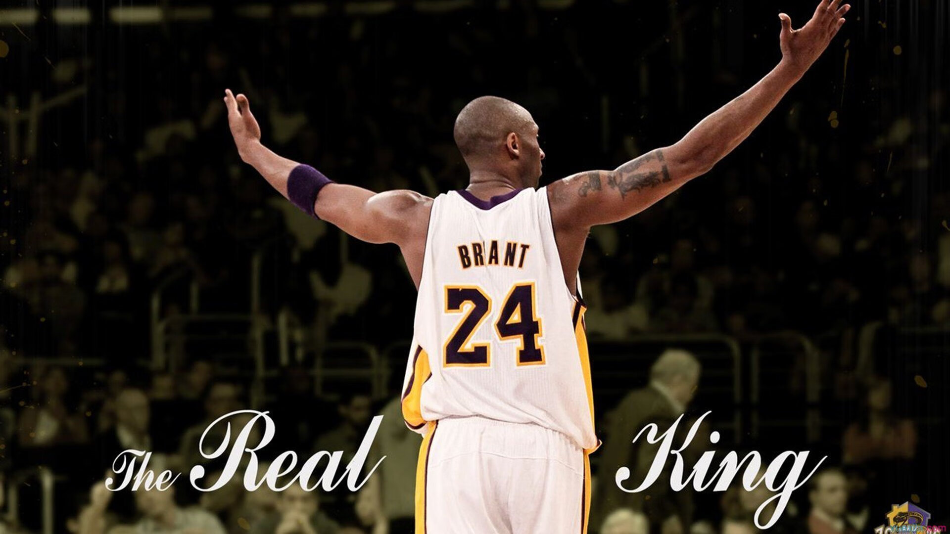 从NBA血拼到世界杯接管，贝恩的双线征途与篮球全球化新叙事